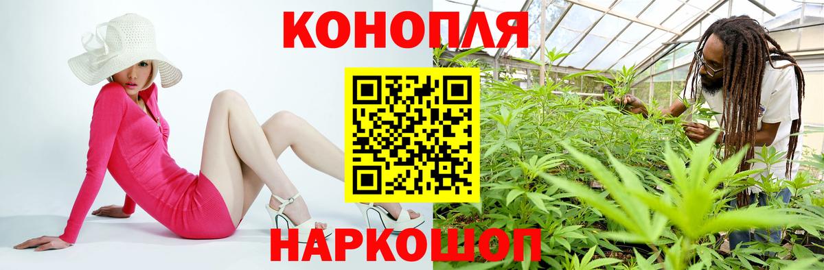 Бошки марихуана Ganja  Бошки марихуана THC 21%  Усть-Джегута  Марихуана план  Шишки марихуана семена  Вход с VPN 